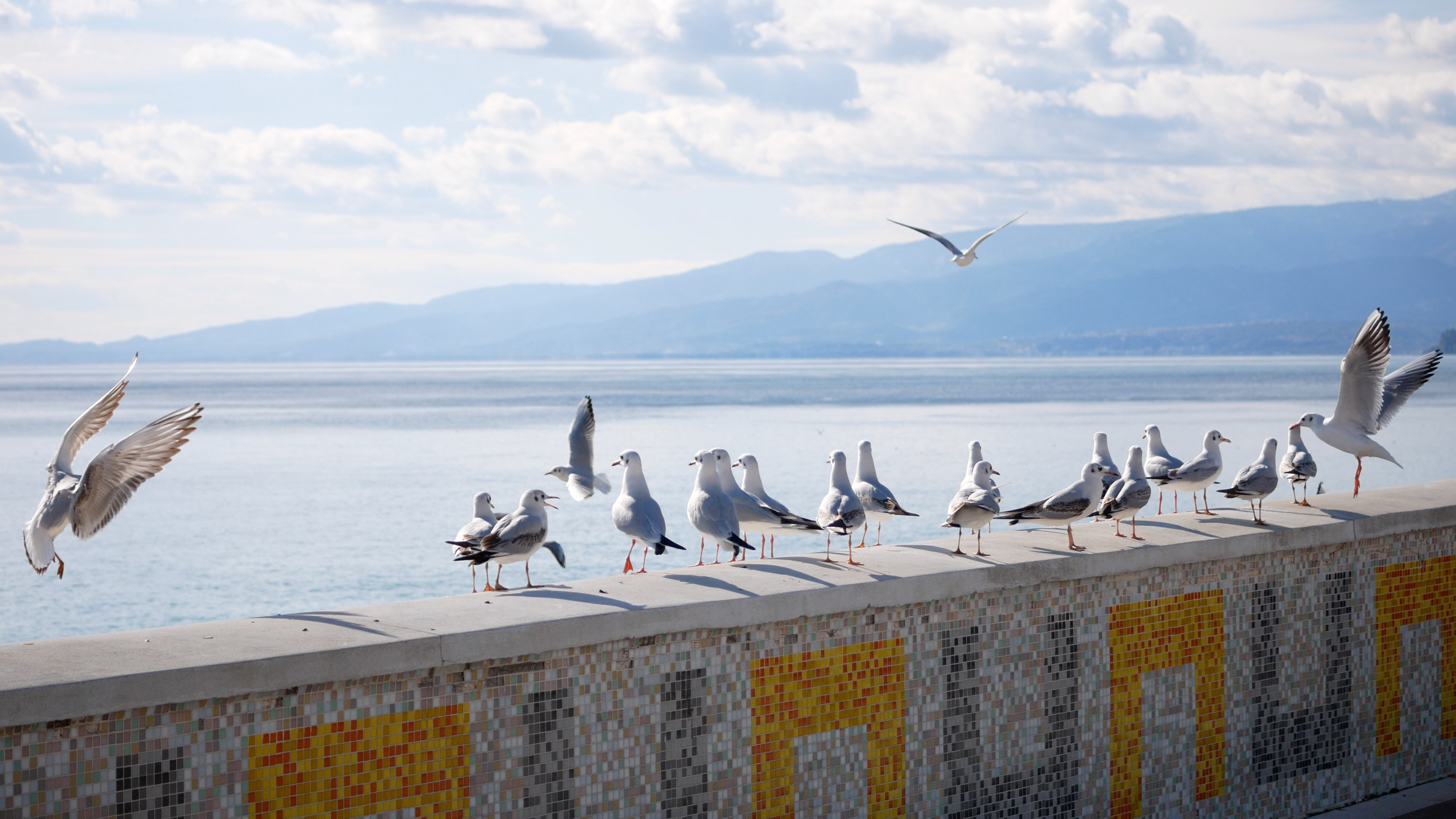 Mosaico Catanzaro Lido