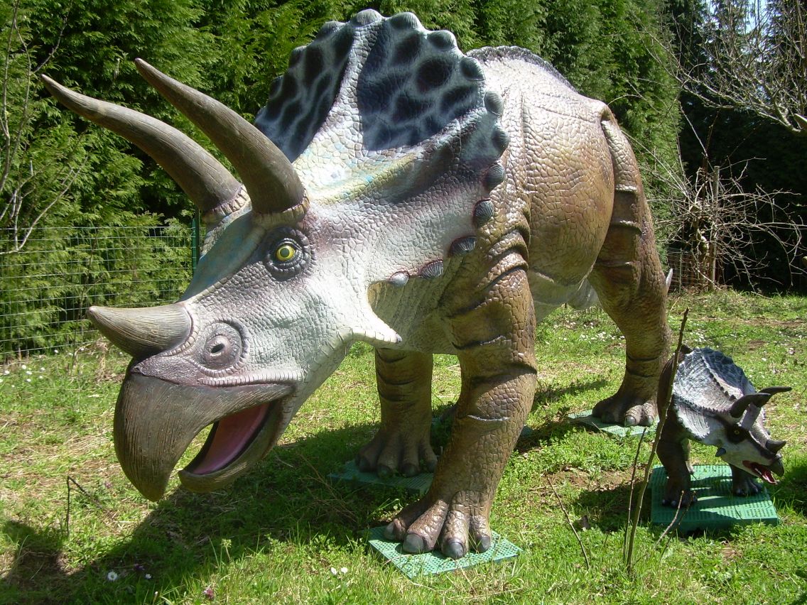 Parco dei Dinosauri, Simbario