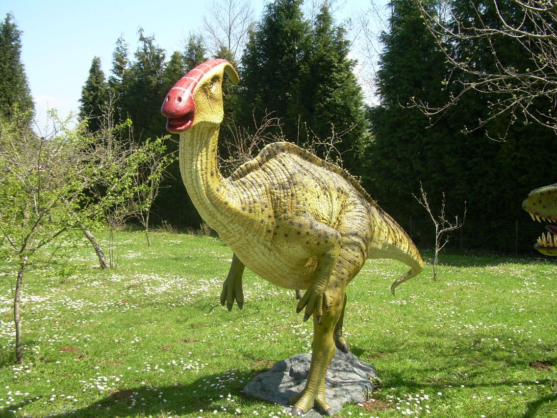 Parco dei Dinosauri, Simbario