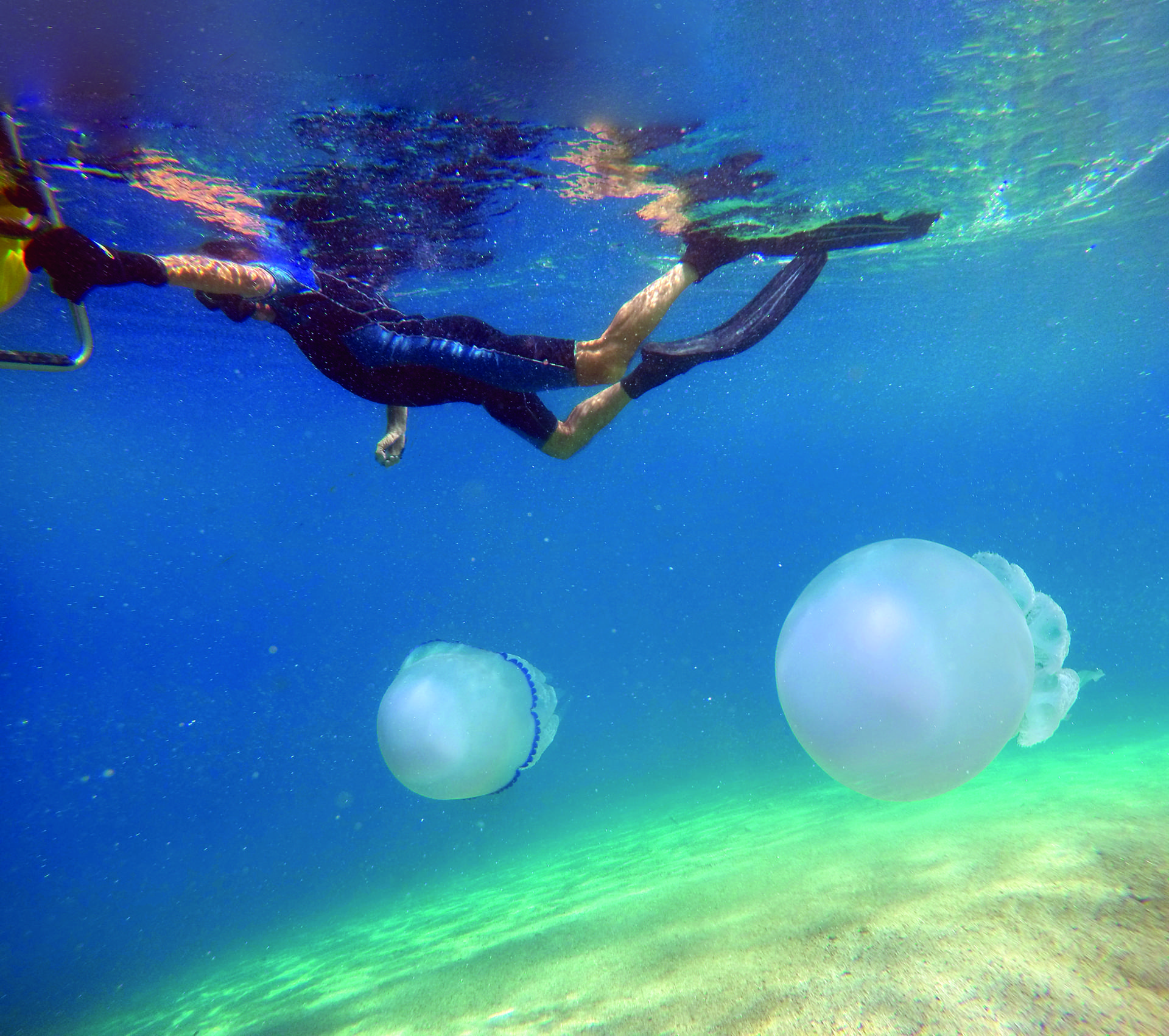 Soverato Medusa snorkeling