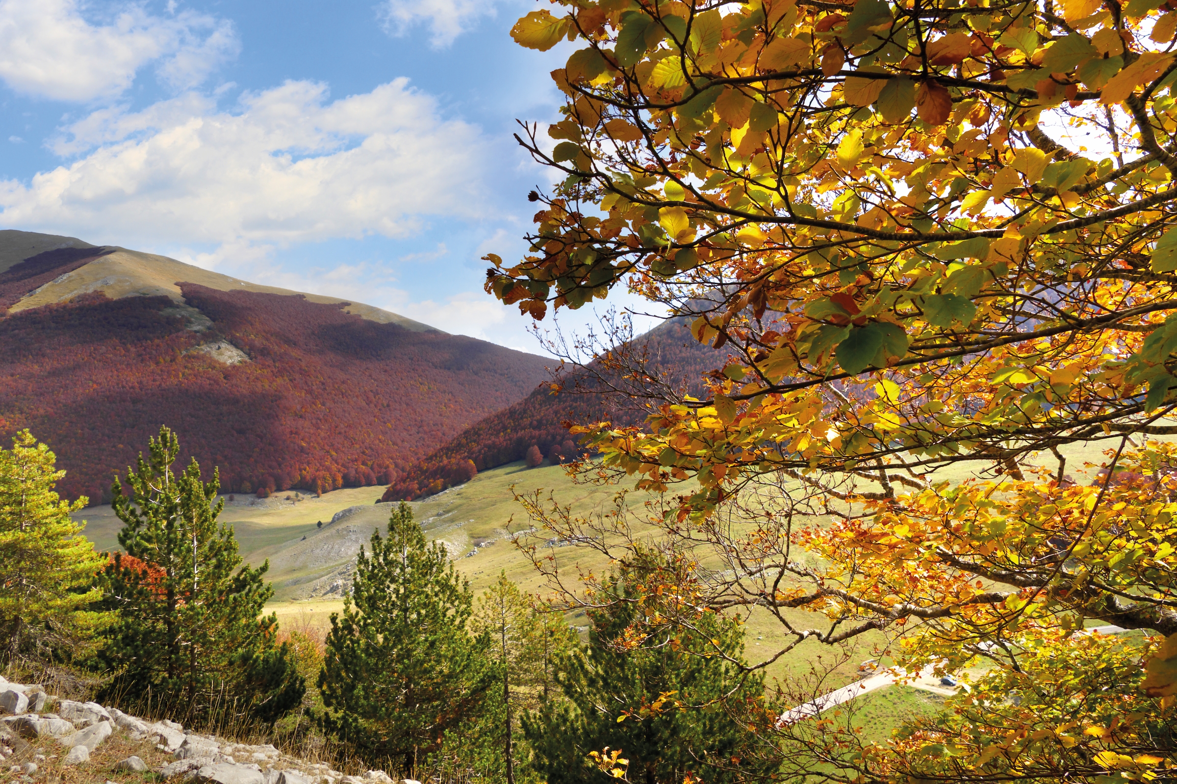 Parco Nazionale del Pollino