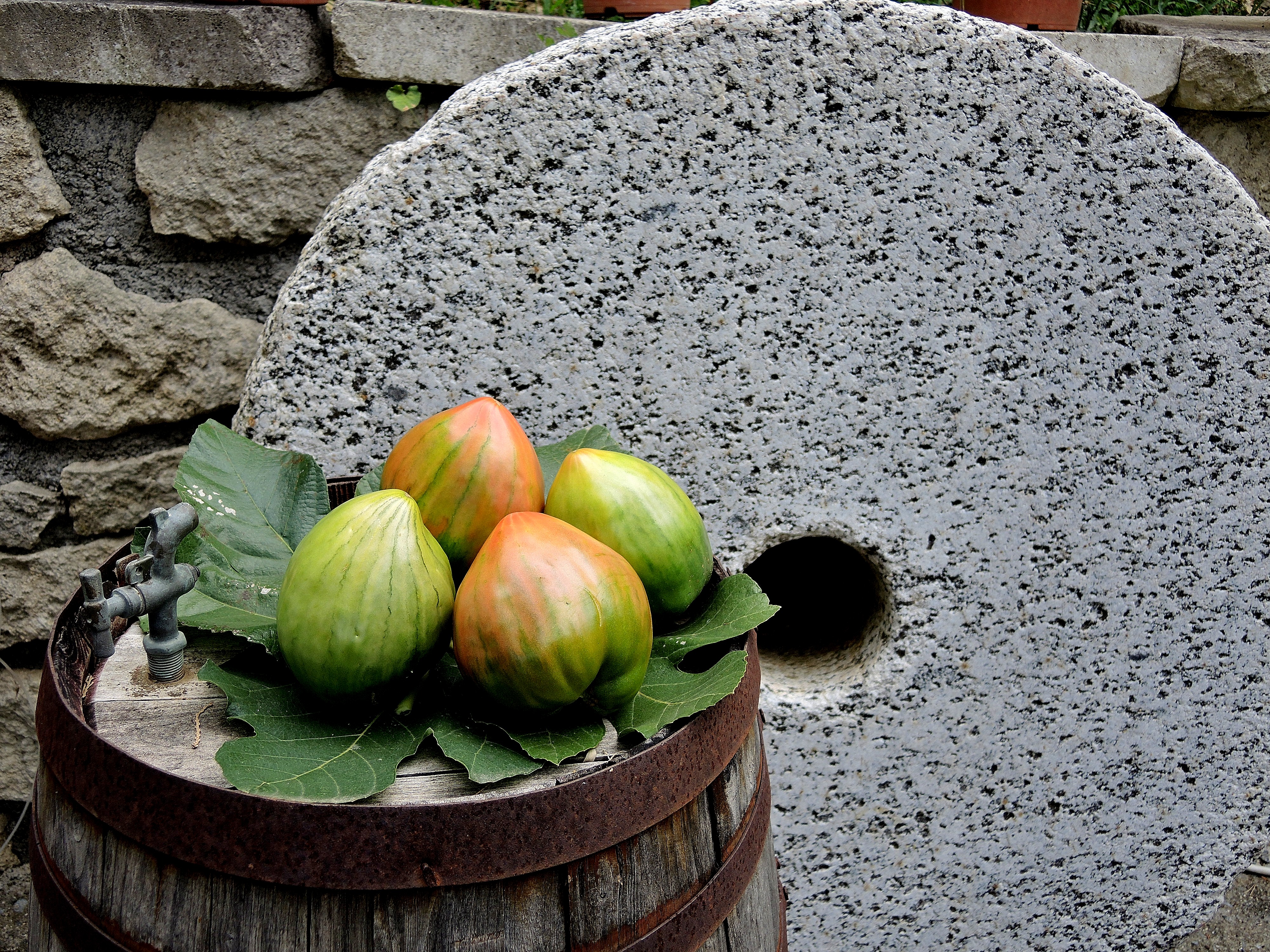 Belmonte Calabro pomodoro